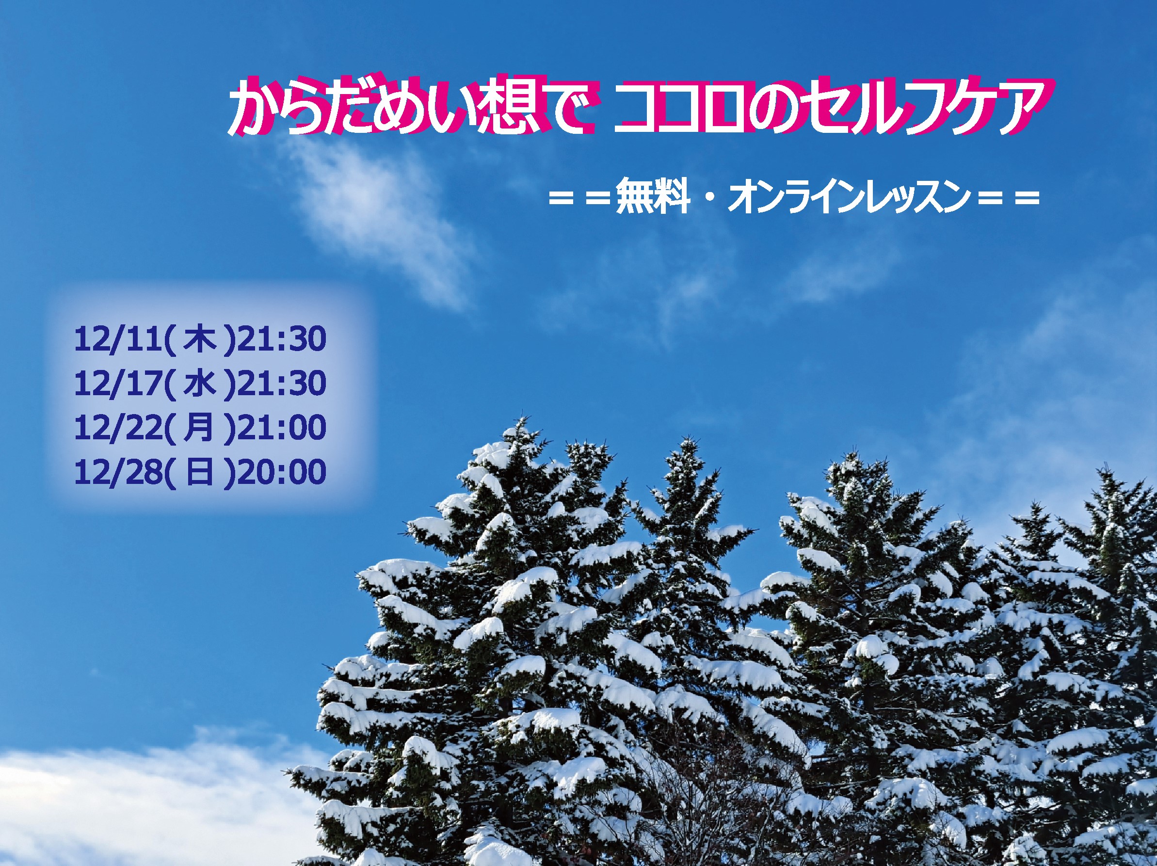 画像の説明 画像の説明